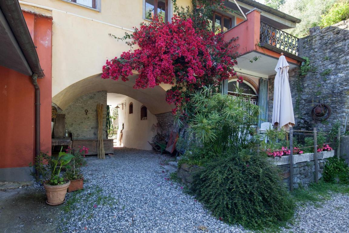 Il Borgo Della Colomba Villa Fosdinovo Exterior foto